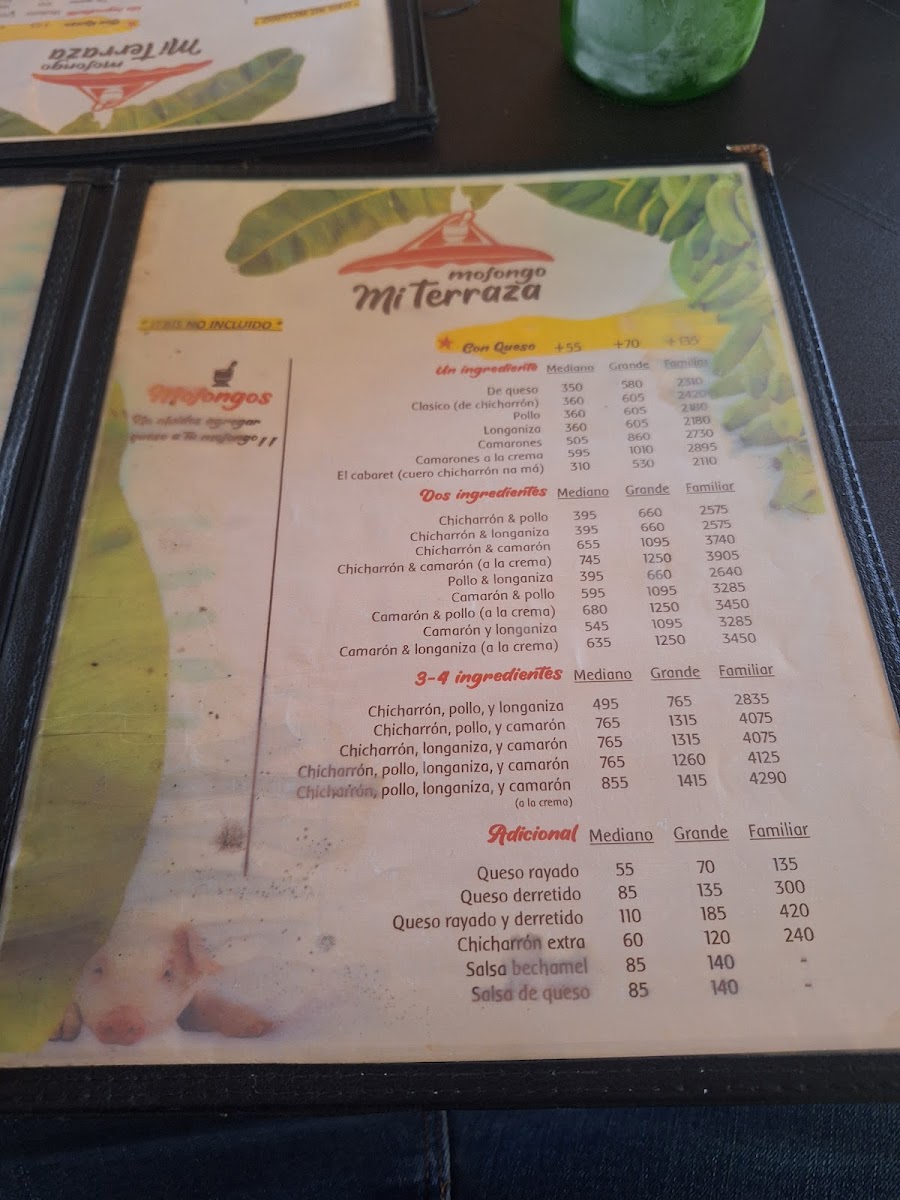 Menu Mofongo Mi Terraza - El Original-9